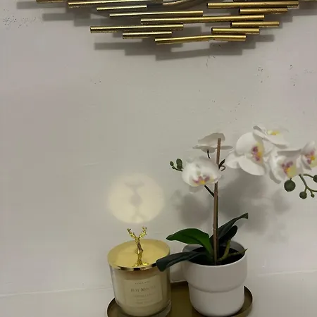 Rambla Flat 10 Apartment